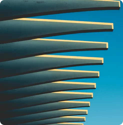 From Idea to Market Leader: A Startup's Journey to Success